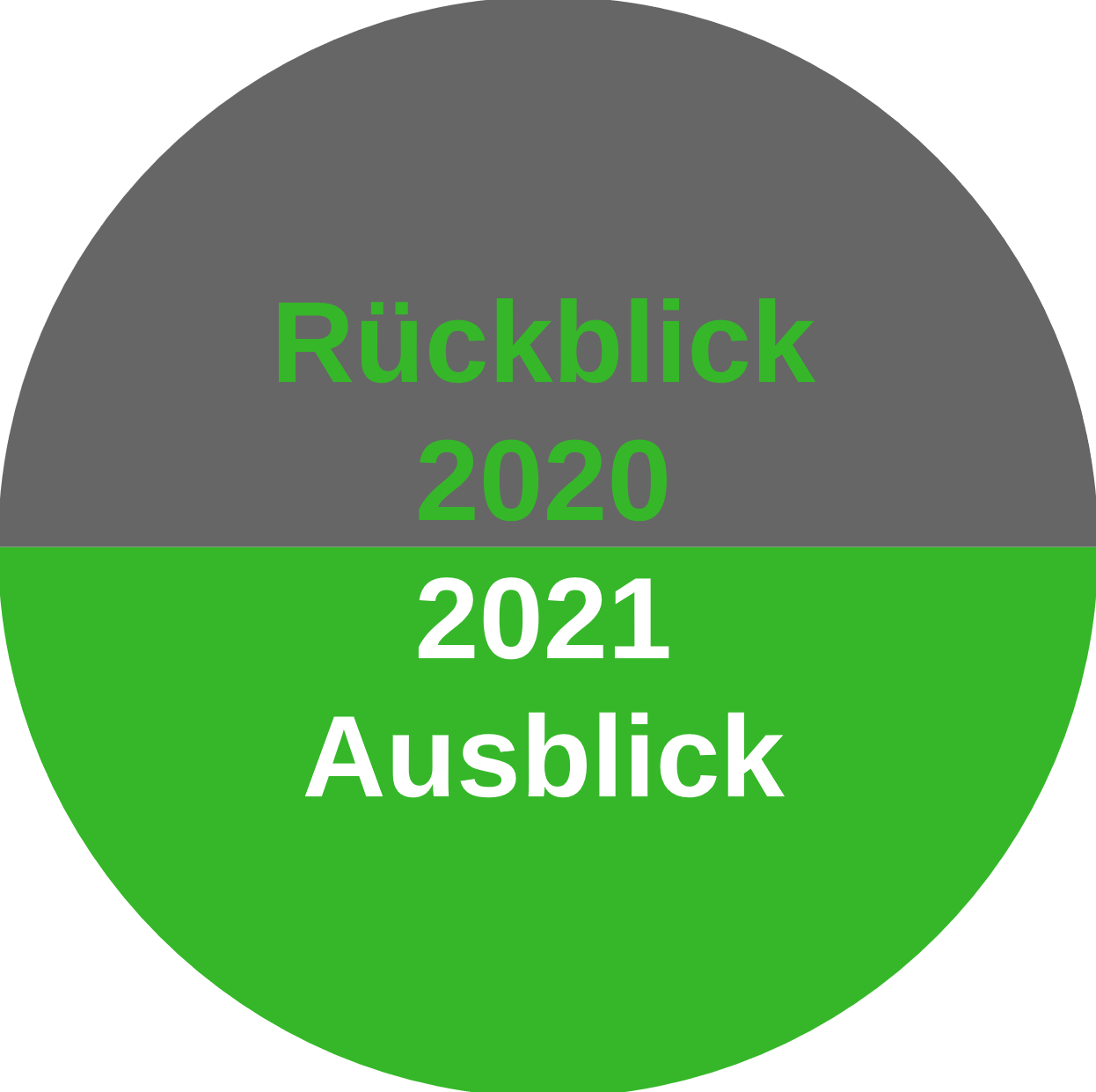 Read more about the article Jahresrückblick 2020